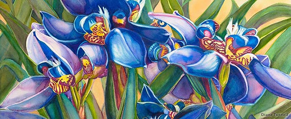 iris floral watercolor