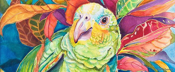 big island parrot painting